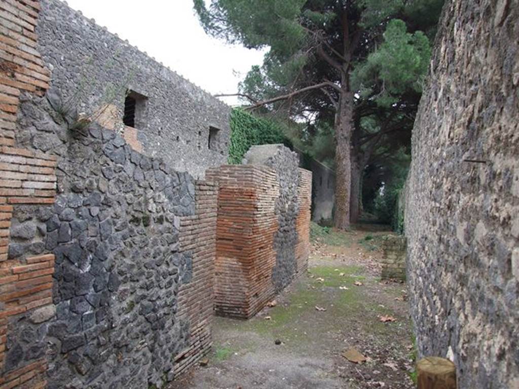II.7.9a Pompeii, Palaestra, on left. December 2006. Looking south along rear wall of II.8.6, on right.
According to CTP –
This was the door leading to the rooms for the doorkeeper/porter (ostiarius) and although originally was not numbered, now known as II.7.9a.
In the recent past, the Vicolo between II.7 and II.8 had been blocked up at the northern extremity.
The south side of the Vicolo was closed by a wall before reaching doorway at II.7.10.
At least 10 bombs fell inside and outside the Palestra during September 1943, but luckily damage was slight.
See Van der Poel, H. B., 1986. Corpus Topographicum Pompeianum, Part IIIA. Austin: University of Texas. (p.54)