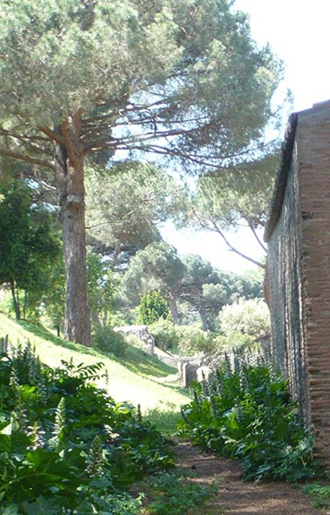 II.7.11 Pompeii. Palaestra. 2106. Looking along tapered walled enclosure area behind the latrine.
Detail from photo courtesy of Buzz Ferebee.