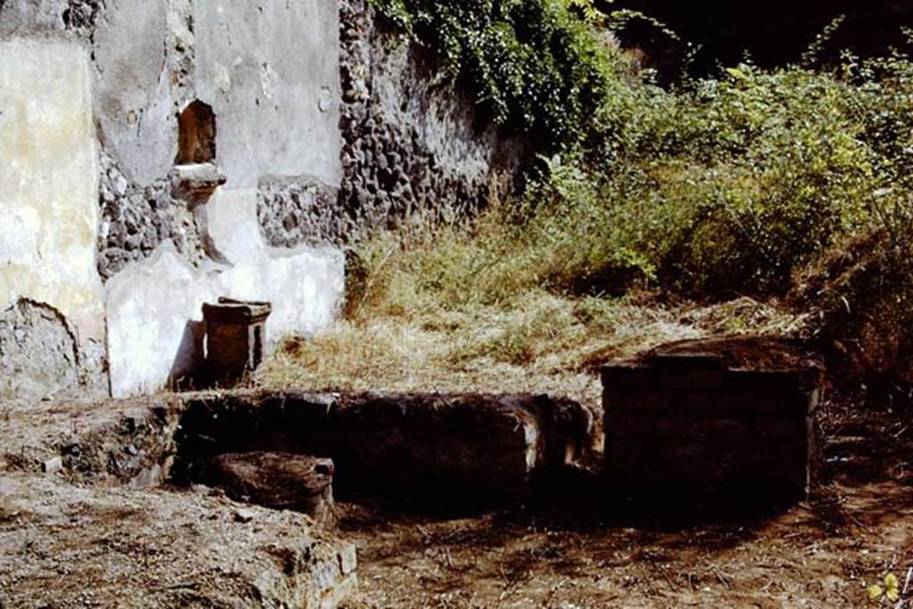 II.8.2 Pompeii. 1968. Looking east along the north wall across the triclinium, towards the altar and niche. Photo by Stanley A. Jashemski.
Source: The Wilhelmina and Stanley A. Jashemski archive in the University of Maryland Library, Special Collections (See collection page) and made available under the Creative Commons Attribution-Non Commercial License v.4. See Licence and use details. Jmit0046