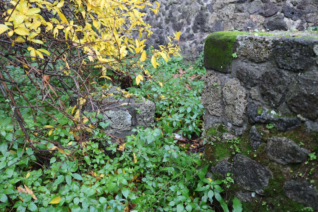 II.8.5 Pompeii. December 2018. 
Looking south towards double basin or trough in south-west corner of garden area. 
Photo courtesy of Aude Durand.
