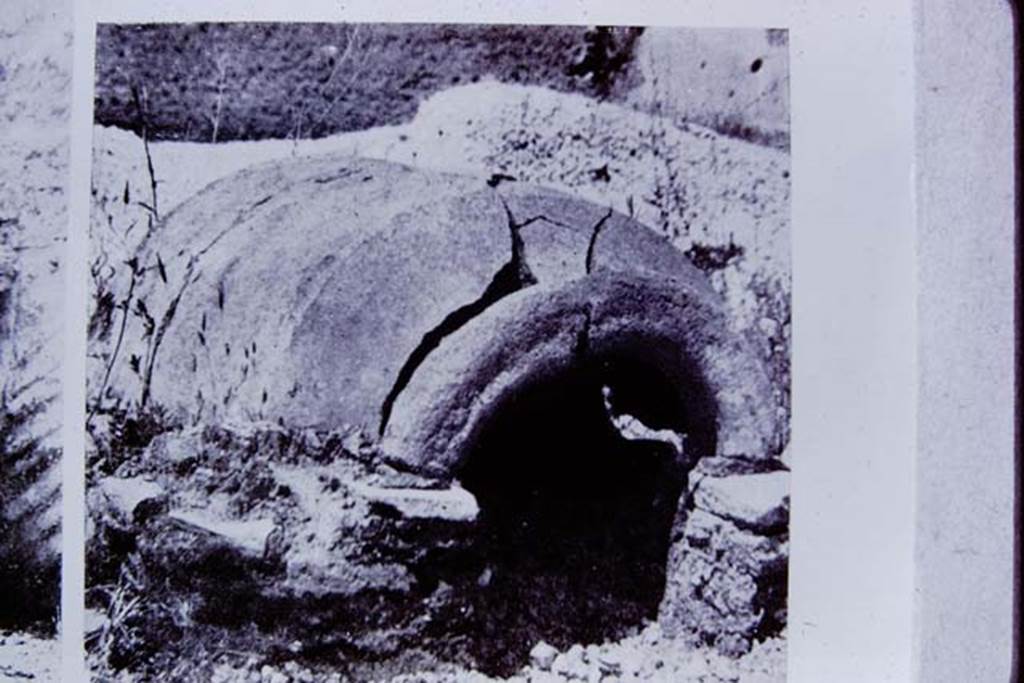 II.8.6 Pompeii. 1972. Photo of a photo of the “dog-kennel”, formed from a half-dolium. 
Photo by Stanley A. Jashemski. 
Source: The Wilhelmina and Stanley A. Jashemski archive in the University of Maryland Library, Special Collections (See collection page) and made available under the Creative Commons Attribution-Non Commercial License v.4. See Licence and use details.
J72f0471
According to Wilhelmina, Dott. Giordano told her that to the south of the triclinium an unusual doghouse had been found by the original excavators. 
An old amphora had been cut in half lengthways and placed on a low masonry wall, the dog then entered its kennel through the mouth of the amphora. 
Unfortunately, this no longer existed.
See Jashemski, W.F., 2014. Discovering the Gardens of Pompeii: Memoirs of a Garden Archaeologist, p. 193-4.