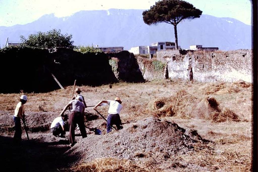 II.8.6 Pompeii. 1972. Looking towards south-west corner. Photo by Stanley A. Jashemski. 
Source: The Wilhelmina and Stanley A. Jashemski archive in the University of Maryland Library, Special Collections (See collection page) and made available under the Creative Commons Attribution-Non Commercial License v.4. See Licence and use details. J72f0145