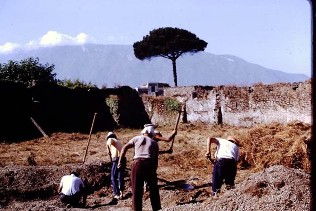 II.8.6 Pompeii. 1972. Looking south-west. Photo by Stanley A. Jashemski. 
Source: The Wilhelmina and Stanley A. Jashemski archive in the University of Maryland Library, Special Collections (See collection page) and made available under the Creative Commons Attribution-Non Commercial License v.4. See Licence and use details. J72f0146