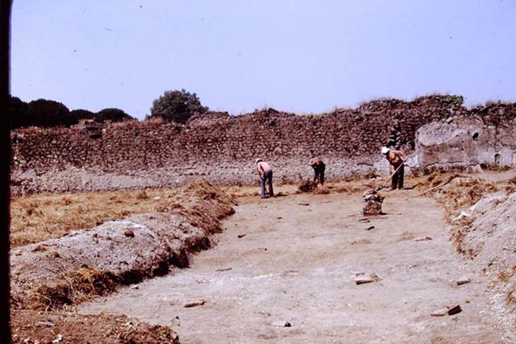 II.8.6 Pompeii. 1972. Looking west across site being cleared, with some root cutting being protected by stones. Photo by Stanley A. Jashemski. 
Source: The Wilhelmina and Stanley A. Jashemski archive in the University of Maryland Library, Special Collections (See collection page) and made available under the Creative Commons Attribution-Non Commercial License v.4. See Licence and use details. J72f0155