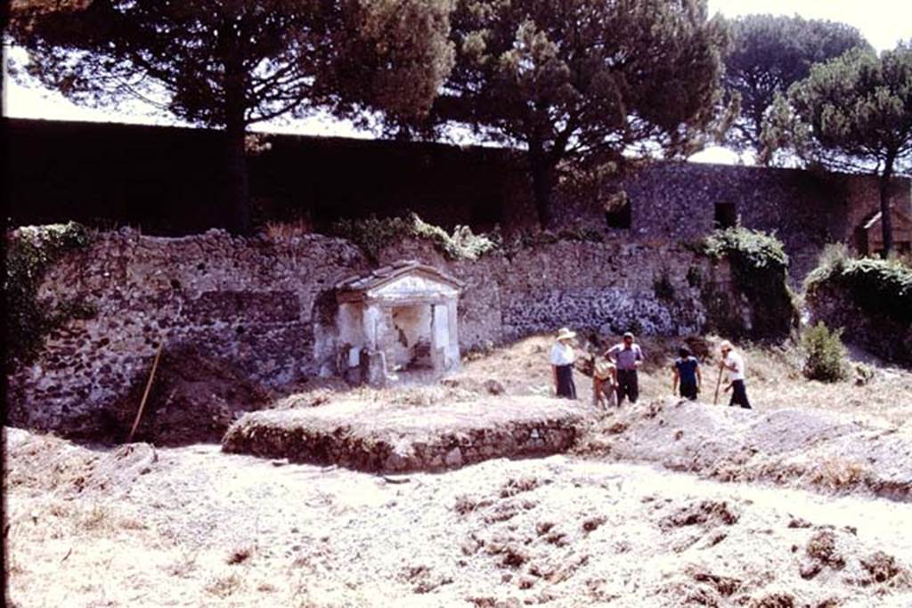 II.8.6 Pompeii. 1972. Looking towards the garden east wall during excavations. At the rear is the higher wall of the Palaestra.  Photo by Stanley A. Jashemski. 
Source: The Wilhelmina and Stanley A. Jashemski archive in the University of Maryland Library, Special Collections (See collection page) and made available under the Creative Commons Attribution-Non Commercial License v.4. See Licence and use details. J72f0161