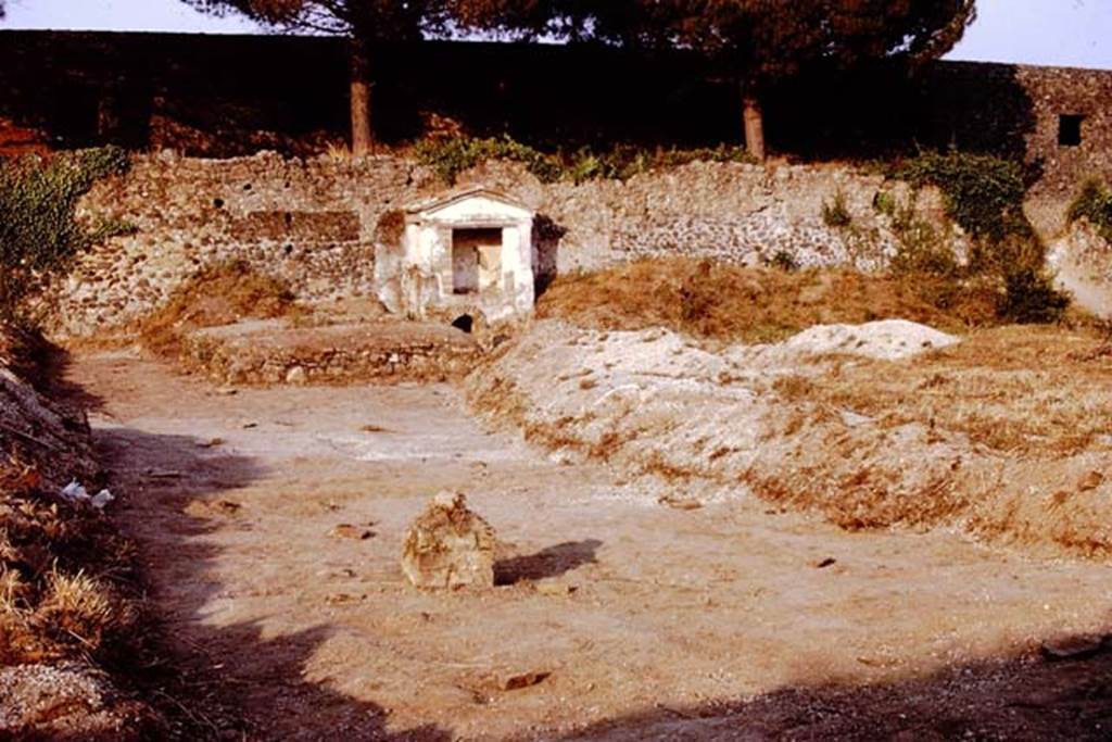 II.8.6 Pompeii. 1972. Looking towards the Lararium near the garden east wall. Photo by Stanley A. Jashemski. 
Source: The Wilhelmina and Stanley A. Jashemski archive in the University of Maryland Library, Special Collections (See collection page) and made available under the Creative Commons Attribution-Non Commercial License v.4. See Licence and use details. J72f0166