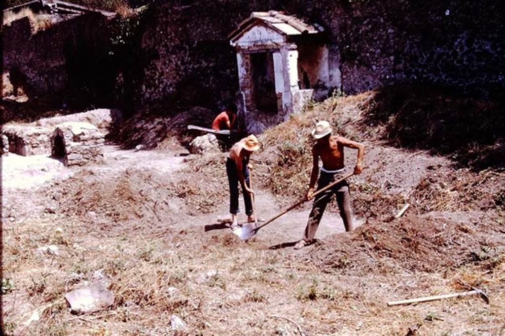II.8.6 Pompeii. 1972. Looking north along east side. On the left, near the triclinium, is the “dog-kennel”.  Photo by Stanley A. Jashemski. 
Source: The Wilhelmina and Stanley A. Jashemski archive in the University of Maryland Library, Special Collections (See collection page) and made available under the Creative Commons Attribution-Non Commercial License v.4. See Licence and use details. J72f0170