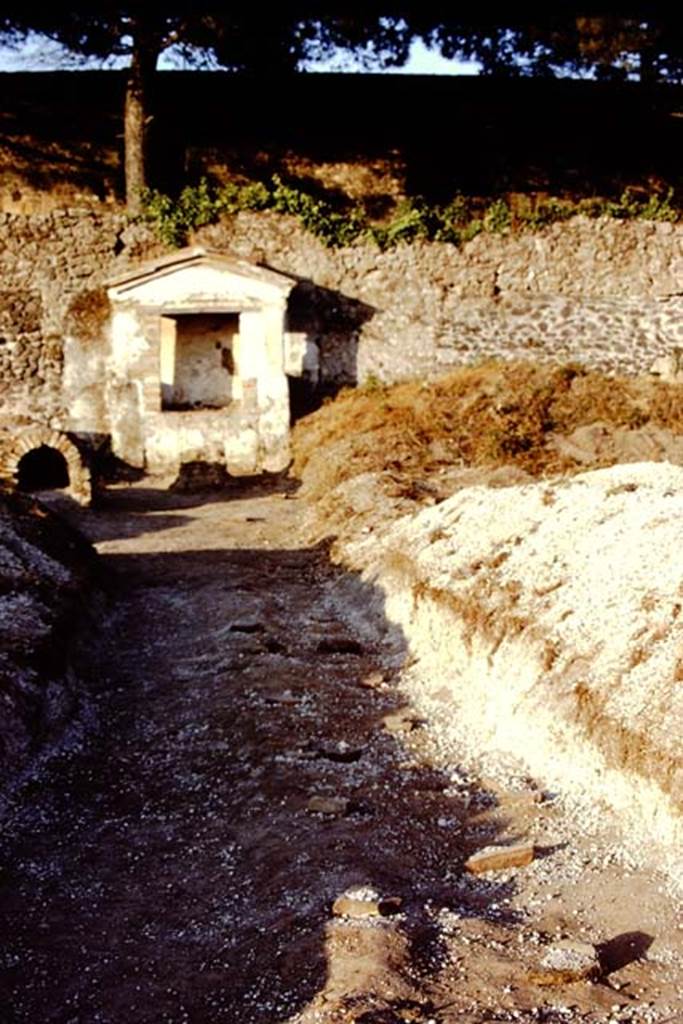 II.8.6 Pompeii. 1972. Looking east along trench to Lararium, and “dog-kennel”. 
Photo by Stanley A. Jashemski. 
Source: The Wilhelmina and Stanley A. Jashemski archive in the University of Maryland Library, Special Collections (See collection page) and made available under the Creative Commons Attribution-Non Commercial License v.4. See Licence and use details. J72f0175