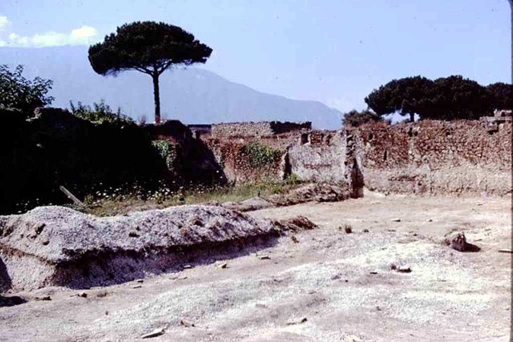 II.8.6 Pompeii. 1972. Looking towards south-west corner of garden area. Photo by Stanley A. Jashemski. 
Source: The Wilhelmina and Stanley A. Jashemski archive in the University of Maryland Library, Special Collections (See collection page) and made available under the Creative Commons Attribution-Non Commercial License v.4. See Licence and use details. J72f0674