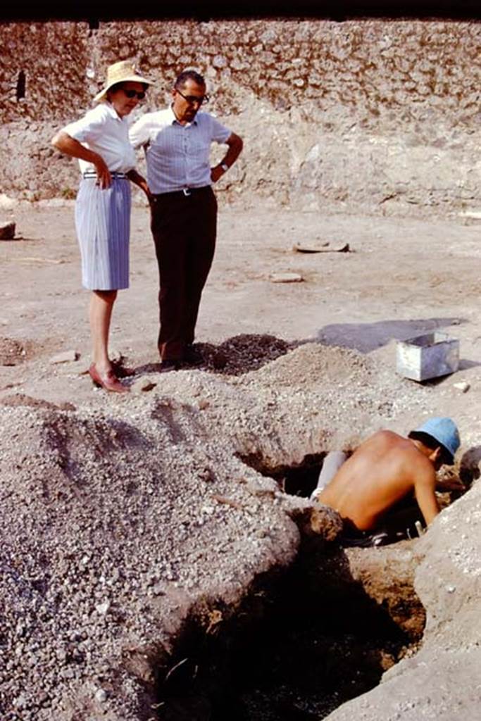 II.8.6 Pompeii, 1973. Discussion between Wilhelmina and Sig. Sicignano over the expanding root cavity. Photo by Stanley A. Jashemski. 
Source: The Wilhelmina and Stanley A. Jashemski archive in the University of Maryland Library, Special Collections (See collection page) and made available under the Creative Commons Attribution-Non Commercial License v.4. See Licence and use details. J73f0255