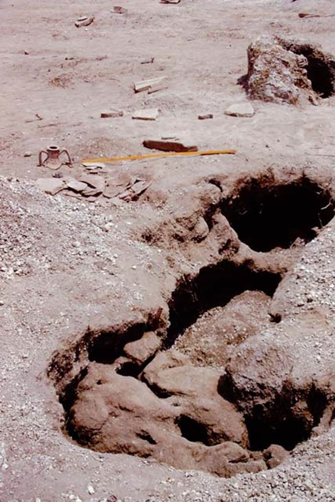 II.8.6 Pompeii, 1973. Large root cavity. Photo by Stanley A. Jashemski. 
Source: The Wilhelmina and Stanley A. Jashemski archive in the University of Maryland Library, Special Collections (See collection page) and made available under the Creative Commons Attribution-Non Commercial License v.4. See Licence and use details. J73f0261