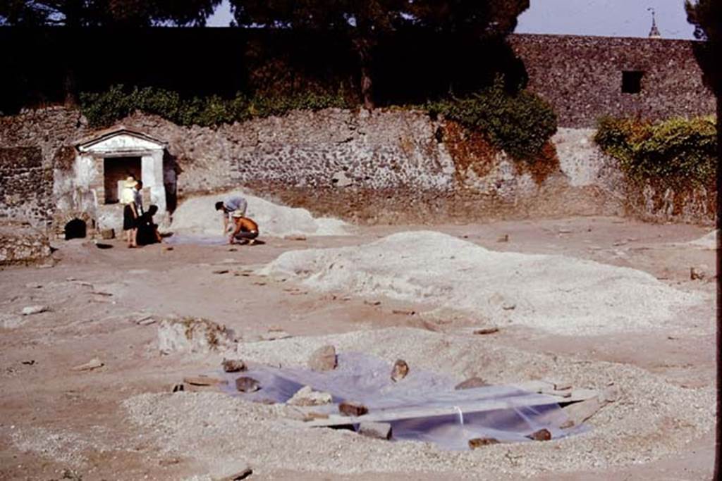 II.8.6 Pompeii, 1973. Looking south-east across protected large root cavity. Photo by Stanley A. Jashemski. 
Source: The Wilhelmina and Stanley A. Jashemski archive in the University of Maryland Library, Special Collections (See collection page) and made available under the Creative Commons Attribution-Non Commercial License v.4. See Licence and use details. J73f0281