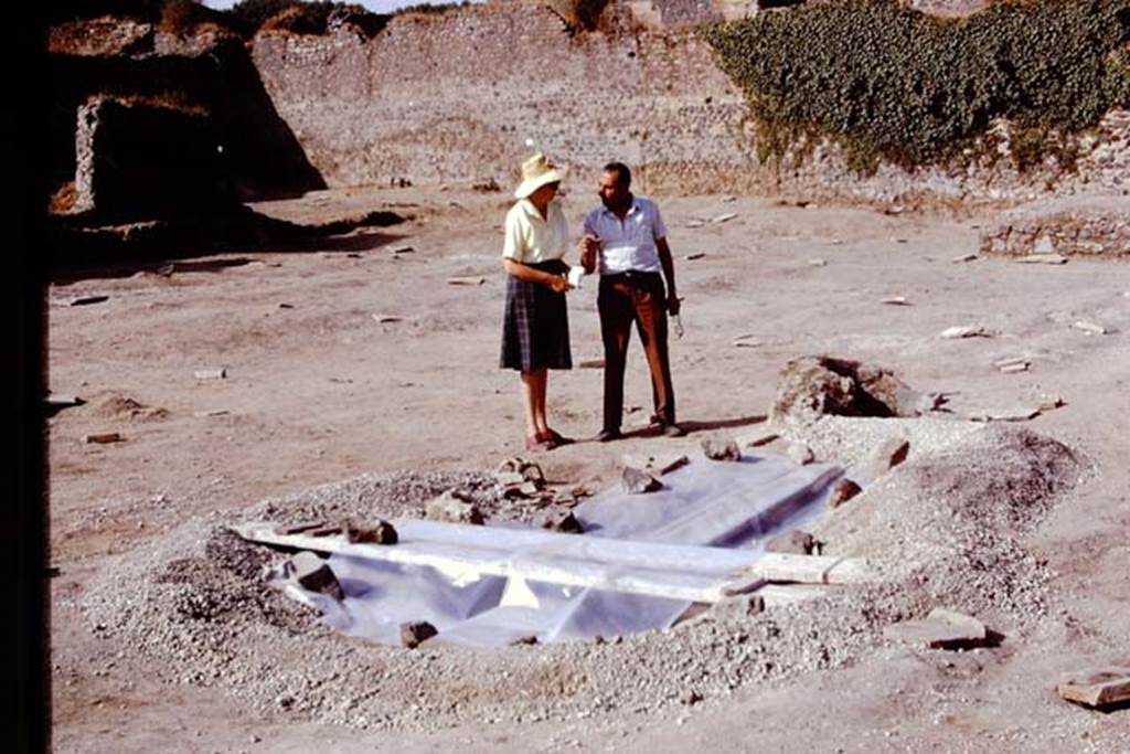 II.8.6 Pompeii, 1973. Looking north-east across site across large root cavity.  Photo by Stanley A. Jashemski. 
Source: The Wilhelmina and Stanley A. Jashemski archive in the University of Maryland Library, Special Collections (See collection page) and made available under the Creative Commons Attribution-Non Commercial License v.4. See Licence and use details. J73f0282