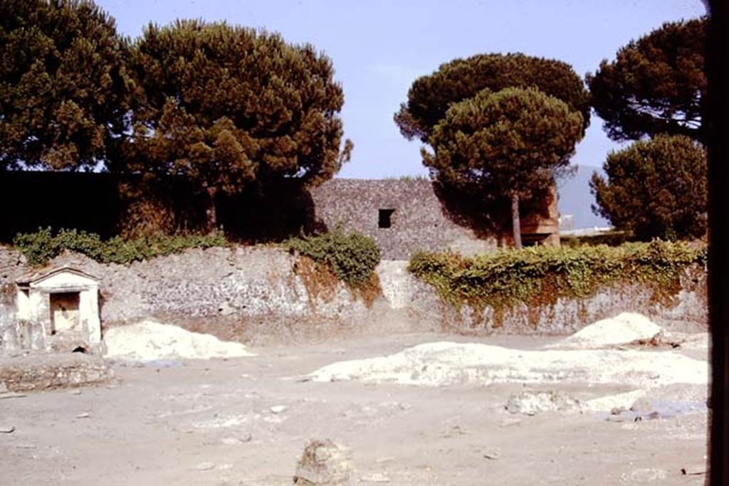 II.8.6 Pompeii, 1973. Looking towards south-east corner. Photo by Stanley A. Jashemski. 
Source: The Wilhelmina and Stanley A. Jashemski archive in the University of Maryland Library, Special Collections (See collection page) and made available under the Creative Commons Attribution-Non Commercial License v.4. See Licence and use details. J73f0286