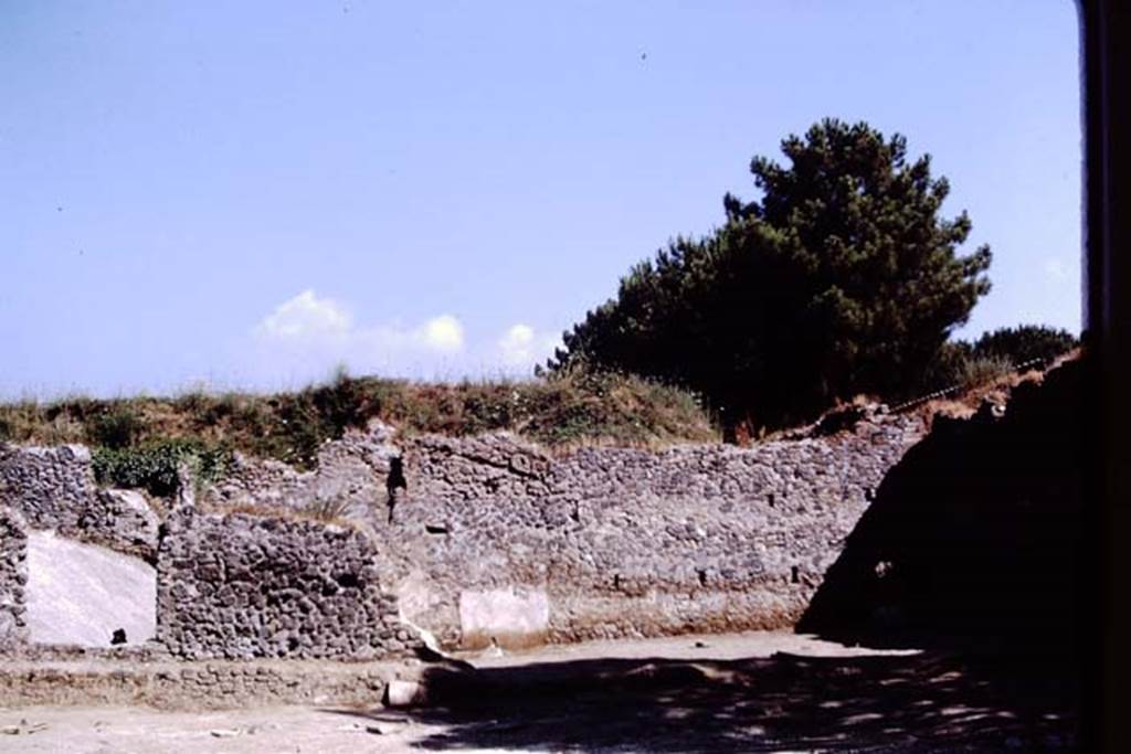 II.8.6 Pompeii, 1973. Looking north in north-east corner, of house area and garden. Photo by Stanley A. Jashemski. 
Source: The Wilhelmina and Stanley A. Jashemski archive in the University of Maryland Library, Special Collections (See collection page) and made available under the Creative Commons Attribution-Non Commercial License v.4. See Licence and use details. J73f0343