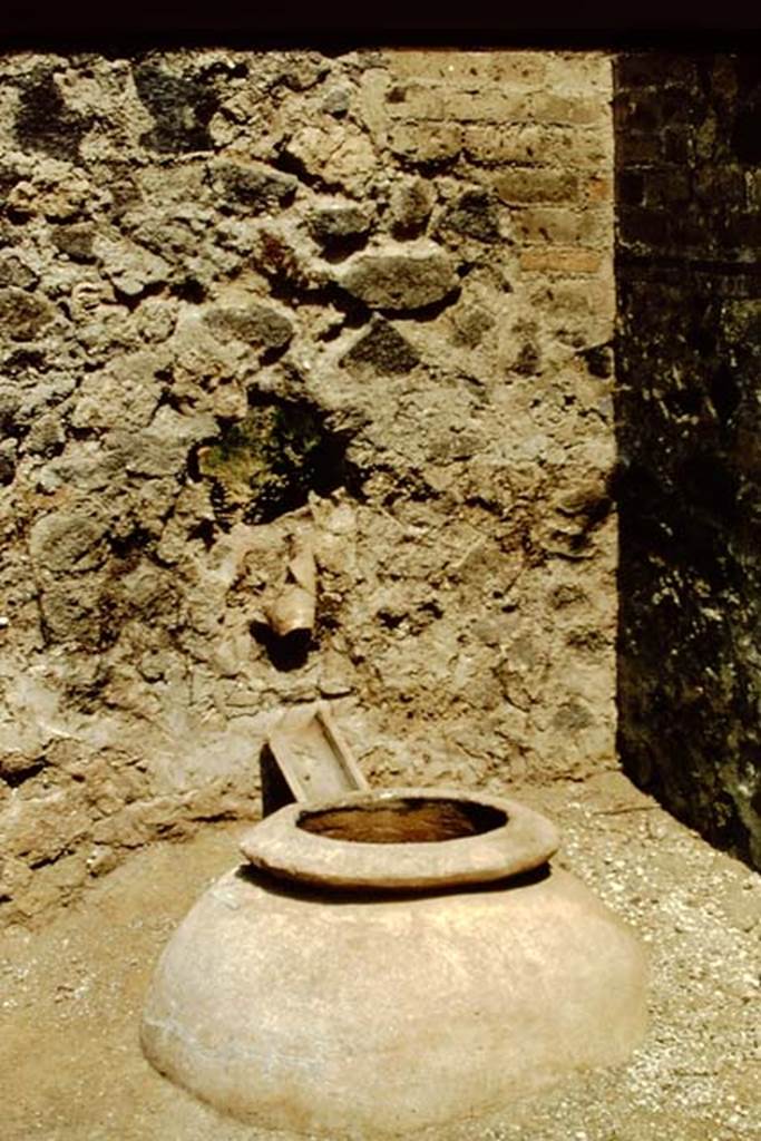II.8.6 Pompeii, 1978. Buried dolium in north-east corner of garden area. Photo by Stanley A. Jashemski.   
Source: The Wilhelmina and Stanley A. Jashemski archive in the University of Maryland Library, Special Collections (See collection page) and made available under the Creative Commons Attribution-Non Commercial License v.4. See Licence and use details. J78f0659