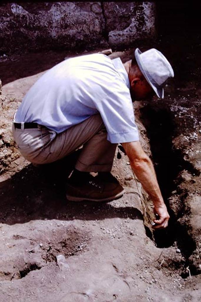 II.8.6 Pompeii, 1973. Cleaning a root cutting near the east wall. Photo by Stanley A. Jashemski. 
Source: The Wilhelmina and Stanley A. Jashemski archive in the University of Maryland Library, Special Collections (See collection page) and made available under the Creative Commons Attribution-Non Commercial License v.4. See Licence and use details. J73f0330