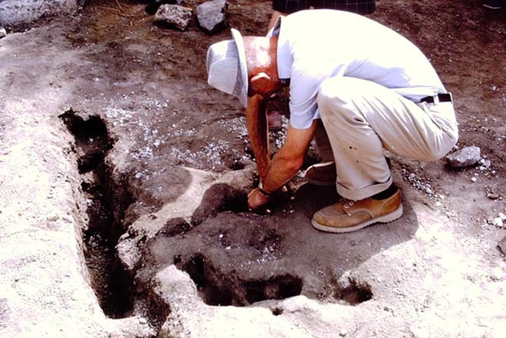 II.8.6 Pompeii, 1973. Cleaning a root cutting near the east wall. Photo by Stanley A. Jashemski. 
Source: The Wilhelmina and Stanley A. Jashemski archive in the University of Maryland Library, Special Collections (See collection page) and made available under the Creative Commons Attribution-Non Commercial License v.4. See Licence and use details. J73f0331