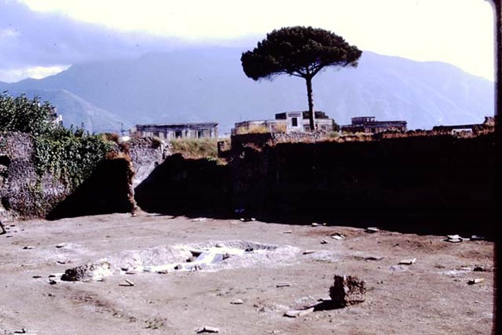 II.8.6 Pompeii, 1973. Looking towards the south-west. Photo by Stanley A. Jashemski. 
Source: The Wilhelmina and Stanley A. Jashemski archive in the University of Maryland Library, Special Collections (See collection page) and made available under the Creative Commons Attribution-Non Commercial License v.4. See Licence and use details. J73f0468
