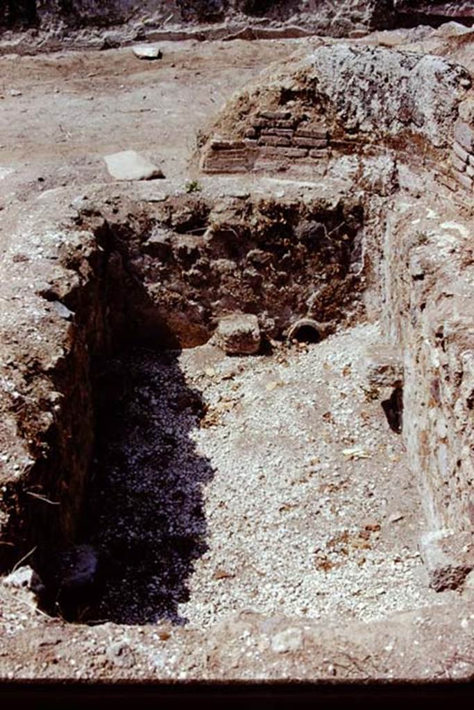 II.8.6 Pompeii, 1973. Basin/pool near north-west corner. Photo by Stanley A. Jashemski. 
Source: The Wilhelmina and Stanley A. Jashemski archive in the University of Maryland Library, Special Collections (See collection page) and made available under the Creative Commons Attribution-Non Commercial License v.4. See Licence and use details. J73f0778