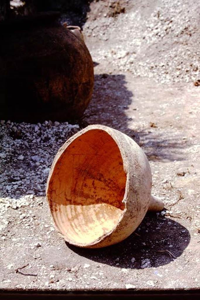 II.8.6 Pompeii. 1973. Pot with its end broken off as a type of funnel. Photo by Stanley A. Jashemski. 
Source: The Wilhelmina and Stanley A. Jashemski archive in the University of Maryland Library, Special Collections (See collection page) and made available under the Creative Commons Attribution-Non Commercial License v.4. See Licence and use details. J73f0804