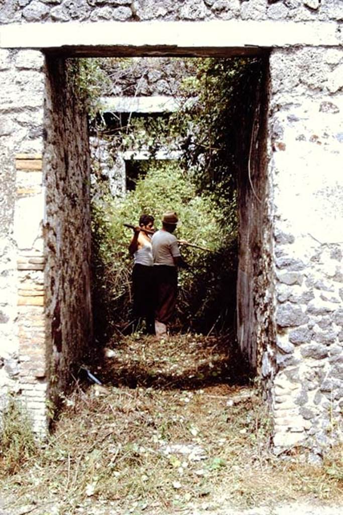 II.8.6 Pompeii. 1971. Looking east from entrance doorway.  Photo by Stanley A. Jashemski.
Source: The Wilhelmina and Stanley A. Jashemski archive in the University of Maryland Library, Special Collections (See collection page) and made available under the Creative Commons Attribution-Non Commercial License v.4. See Licence and use details.
J71f0162