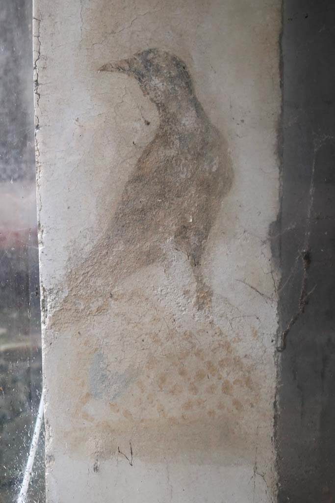II.9.1 Pompeii.  December 2018.  
Detail of black bird from east side of column on the north side of the triclinium. Photo courtesy of Aude Durand.