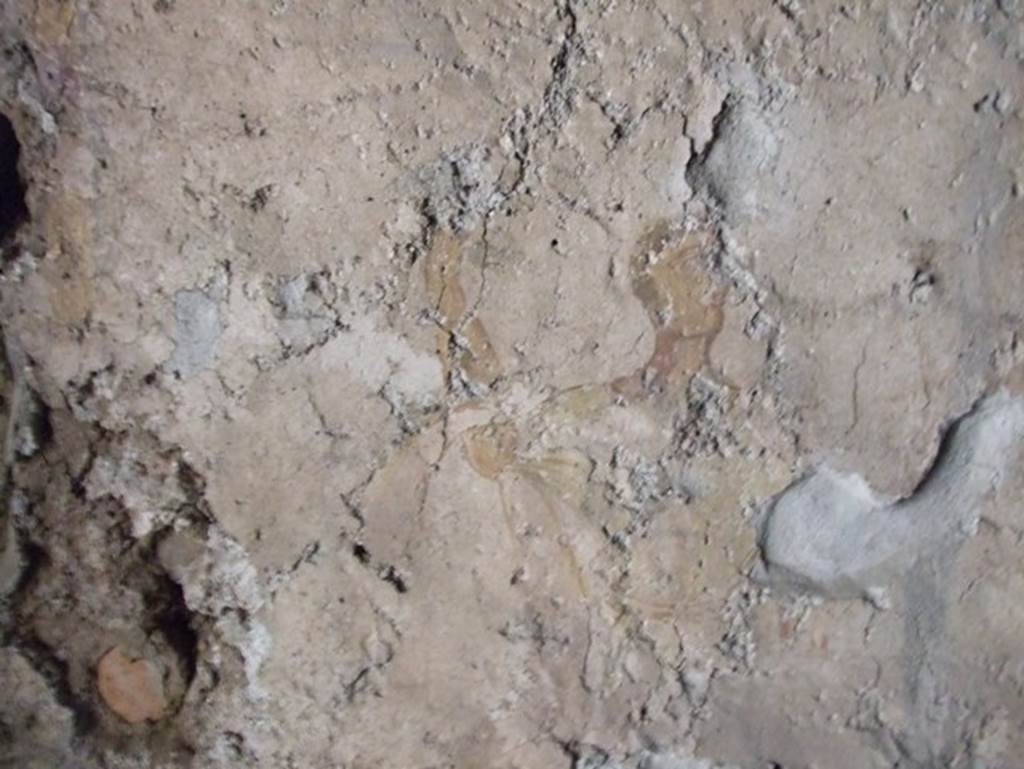 II.9.1 Pompeii. December 2007. Remains of wall painting of man with arm raised.  Is this the picture Frohlich refers to as a very faded painting on the west wall of room 9? See Fröhlich, T., 1991, Lararien und Fassadenbilder in den Vesuvstädten.  Mainz: von Zabern. (L41b:p.266). 
According to Giacobello, a painted lararium was seen on the west wall of room 9, in the centre of white wall plaster. A serpent was coiled around an altar, the Genius assisted by a camillo was sacrificing. The Lares were at the sides of this scene. See Giacobello, F., 2008. Larari Pompeiani: Iconografia e culto dei Lari in ambito domestico.  Milano: LED Edizioni. (p.162)