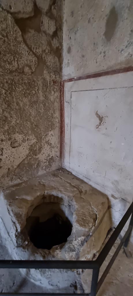II.9.3 Pompeii. December 2023.
Room 11, atrium, north-east corner with detail of well. 
Photo courtesy of Miriam Colomer.