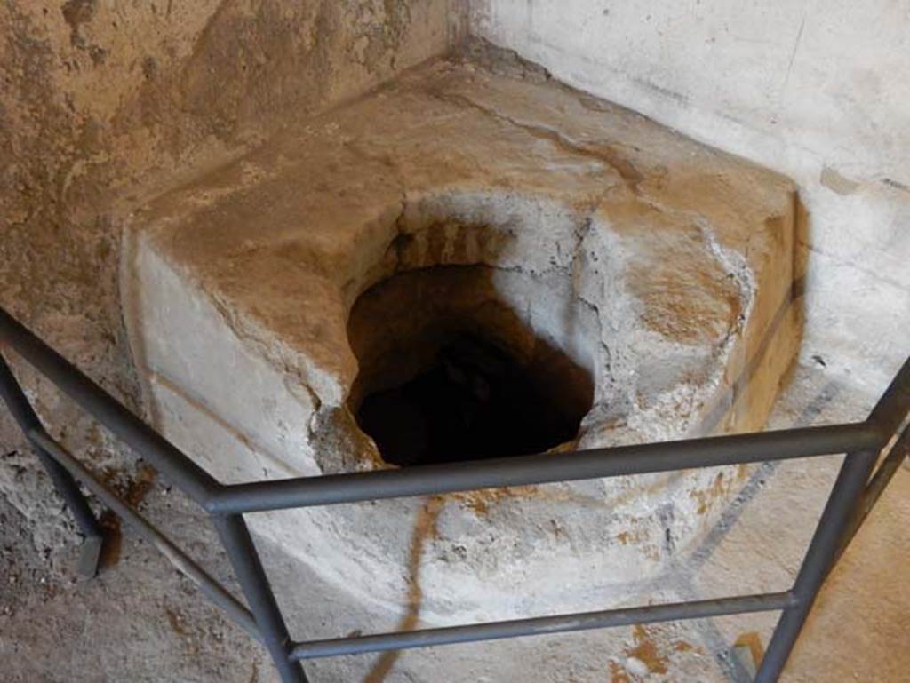 II.9.3, Pompeii. May 2018. Room 11, detail of well in north-east corner. Photo courtesy of Buzz Ferebee.