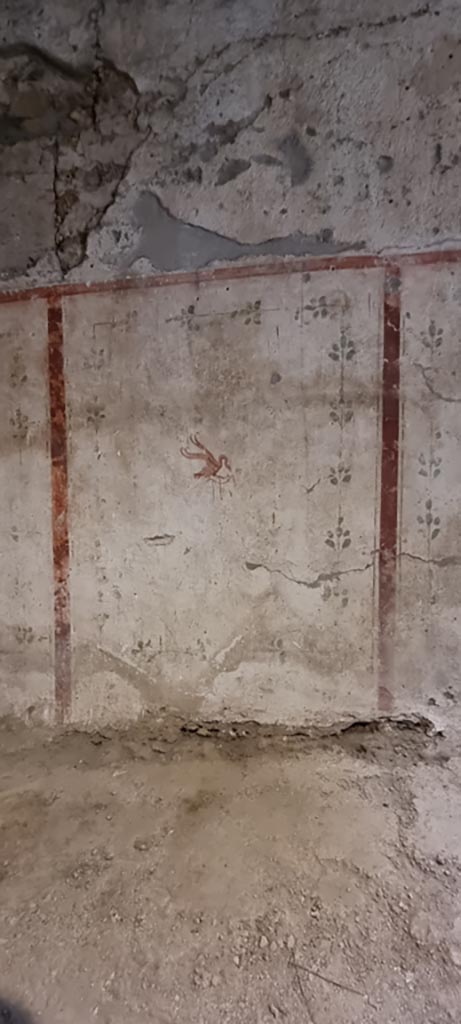 II.9.3, Pompeii. December 2023.
Room 14, painted winged creature from panel on north wall. 
Photo courtesy of Miriam Colomer.