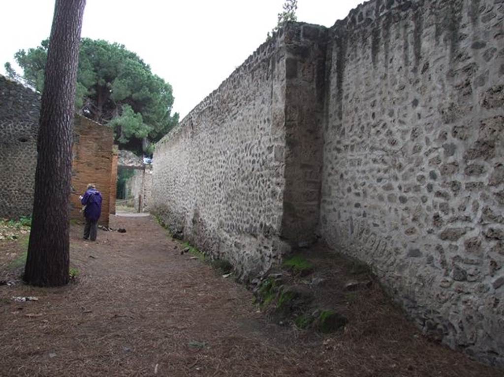 II.9.3 Pompeii, on right. December 2006. Exterior rear wall of II.9.3, in small vicolo on west side of Palaestra