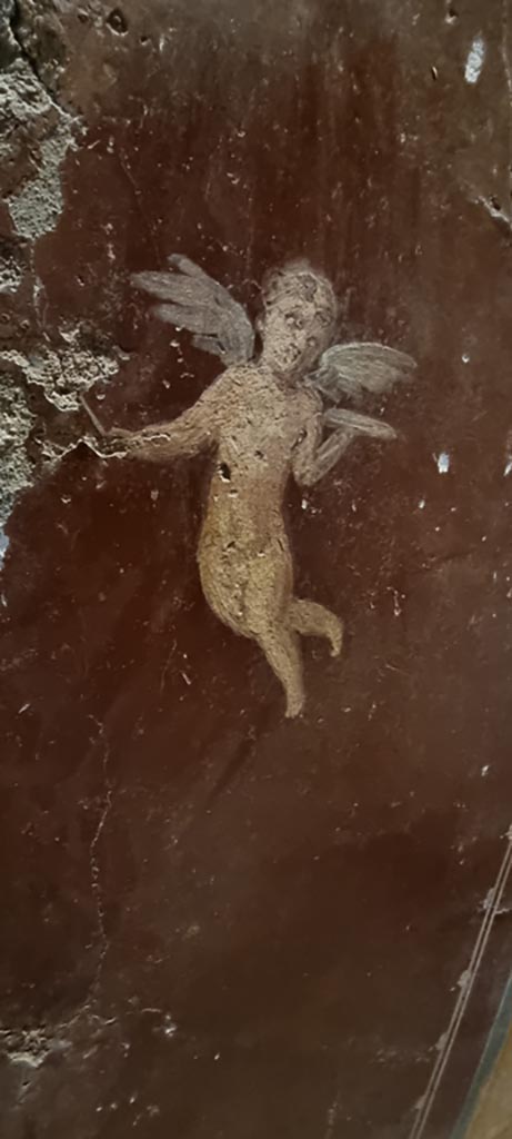 II.9.4 Pompeii. December 2023.
Room 6, painted flying figure on red panel of south wall of cubiculum. 
Photo courtesy of Miriam Colomer.