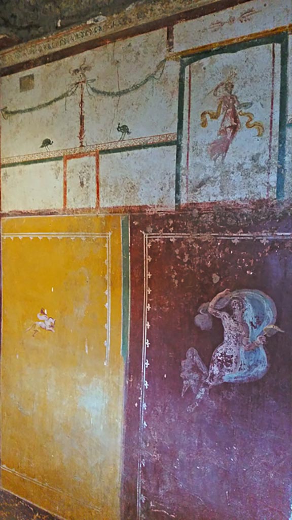 II.9.4 Pompeii. 2017/2018/2019. 
Room 6, west wall in south-west corner. Photo courtesy of Giuseppe Ciaramella.