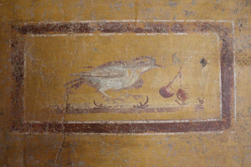 II.9.4 Pompeii. December 2018. 
Room 8, painted panel with bird and cherries from south end of west wall. Photo courtesy of Aude Durand.
