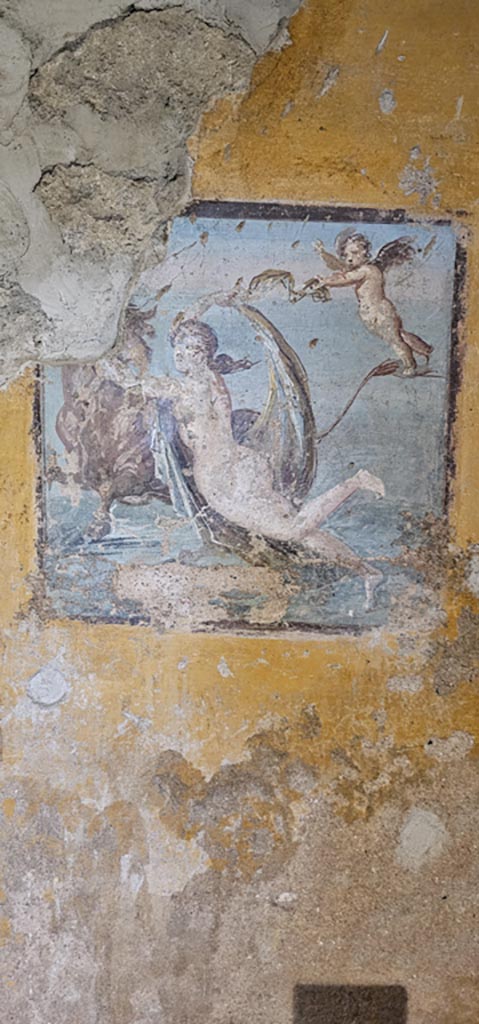 II.9.4 Pompeii. December 2023.
Room 8, west wall, central wall painting of Europa and the Bull. 
Photo courtesy of Miriam Colomer.