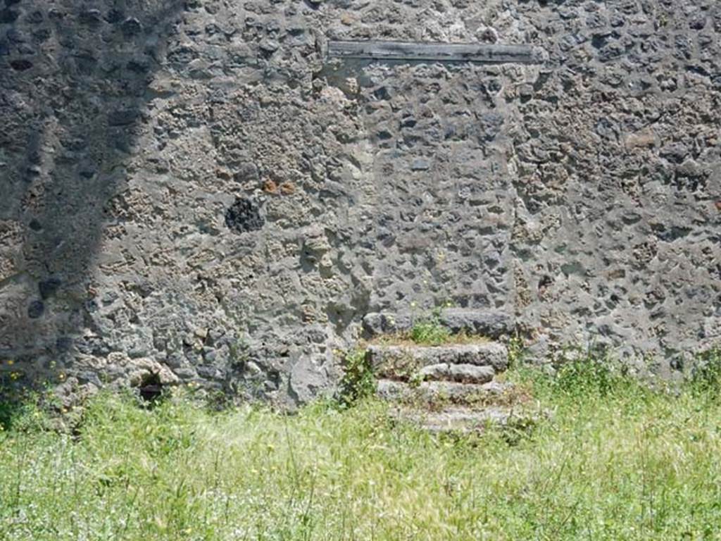 II.9.4, Pompeii. May 2018. Steps to blocked doorway in east wall at rear of garden area.
Photo courtesy of Buzz Ferebee.