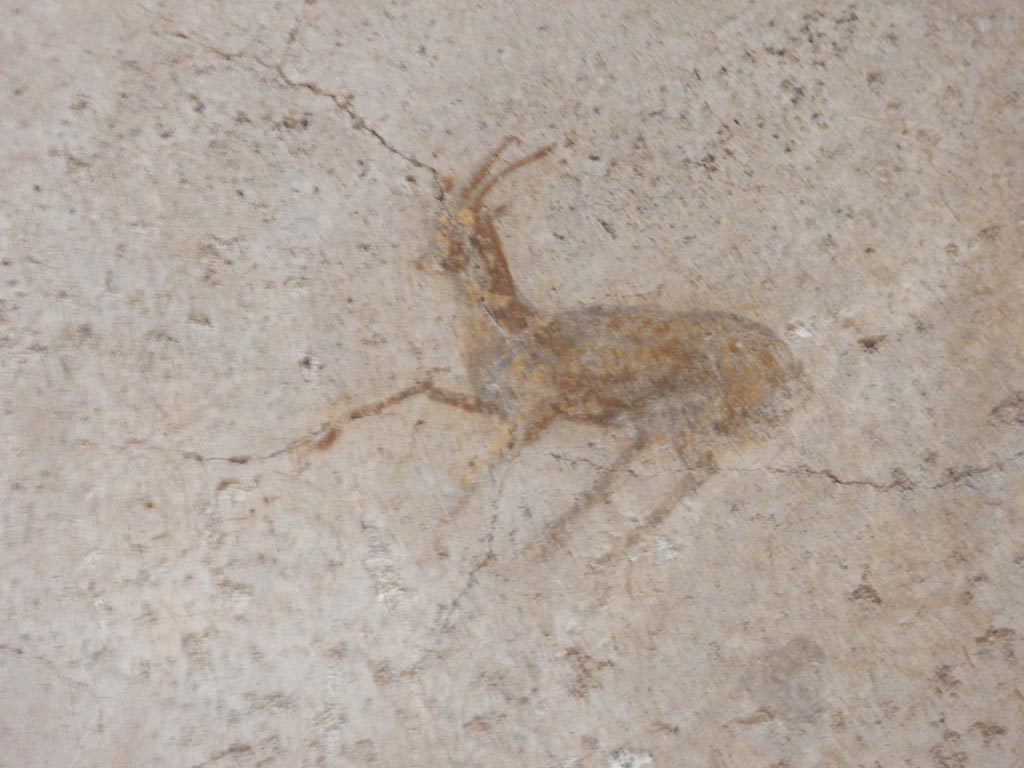II.9.4 Pompeii. May 2018. Room 4, detail from centre panel on west wall in north-west corner. Photo courtesy of Buzz Ferebee.