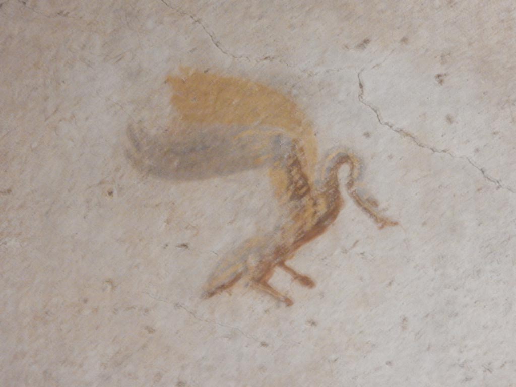 II.9.4 Pompeii. May 2018. Room 4, north wall at west end, detail of swan from centre of panels. Photo courtesy of Buzz Ferebee.