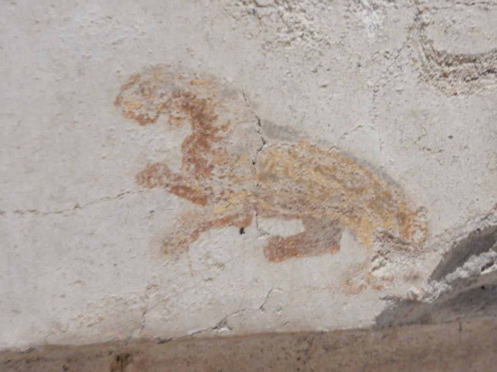 II.9.4 Pompeii. May 2018. Room 4, north wall, detail of panther from centre of panel. Photo courtesy of Buzz Ferebee.