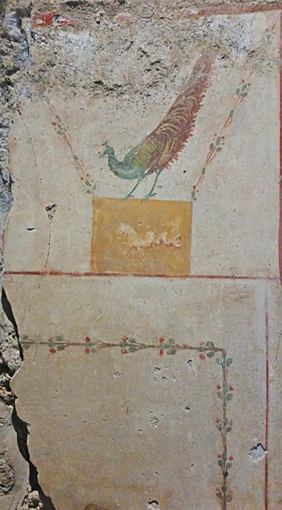 II.9.4 Pompeii. 2018.
Room 4, detail of painted peacock from centre of upper east wall. 
Photo courtesy of Giuseppe Ciaramella.