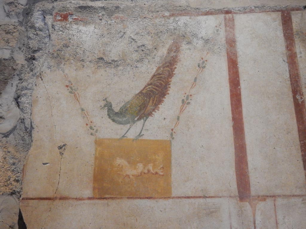 II.9.4 Pompeii. May 2018. Room 4, detail of painted peacock from centre of upper east wall. Photo courtesy of Buzz Ferebee.