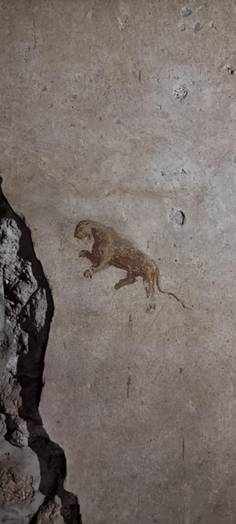 II.9.4 Pompeii. December 2023.
Room 4, panther from centre of middle panel on east wall. 
Photo courtesy of Miriam Colomer.