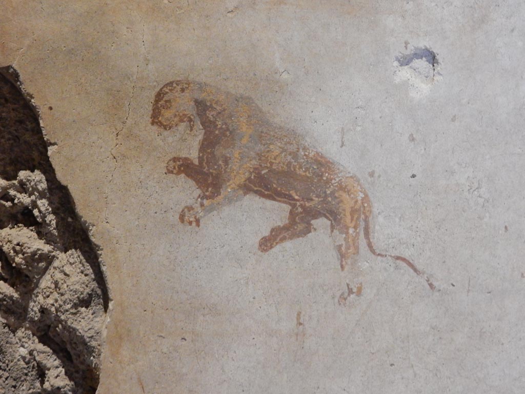 II.9.4 Pompeii. May 2018. Room 4, detail of panther from centre of middle panel on east wall. Photo courtesy of Buzz Ferebee.