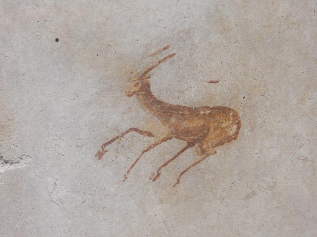 II.9.4 Pompeii. May 2018. Room 4, detail of deer from centre of panel on east wall at south end. Photo courtesy of Buzz Ferebee.