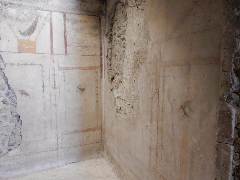 II.9.4 Pompeii. May 2018. Room 4, looking towards south-east corner. Photo courtesy of Buzz Ferebee.