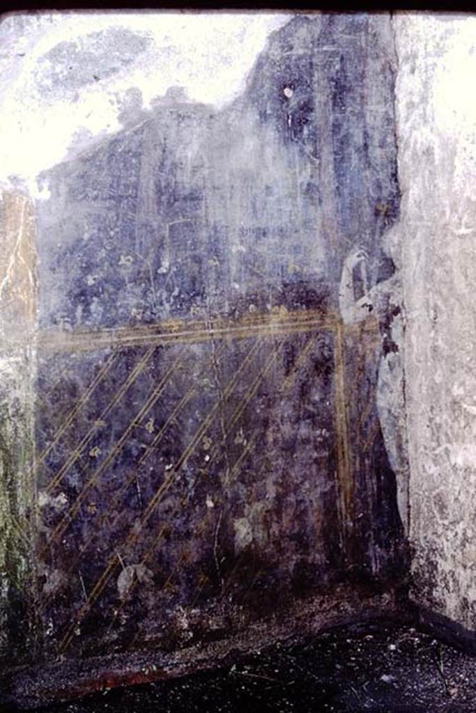 II.9.5 Pompeii. 1984. Room 6, garden painting, including a painted statuette of Venus, on west wall of peristyle at rear of property.  
Source: The Wilhelmina and Stanley A. Jashemski archive in the University of Maryland Library, Special Collections (See collection page) and made available under the Creative Commons Attribution-Non Commercial License v.4. See Licence and use details. J84f0071