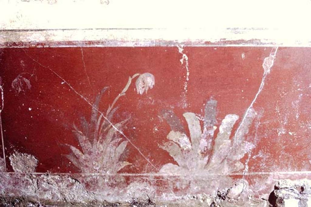 III.2.1 Pompeii. 1968. Room 5, north wall.
Photo by Stanley A. Jashemski.
Source: The Wilhelmina and Stanley A. Jashemski archive in the University of Maryland Library, Special Collections (See collection page) and made available under the Creative Commons Attribution-Non Commercial License v.4. See Licence and use details.
J68f0396