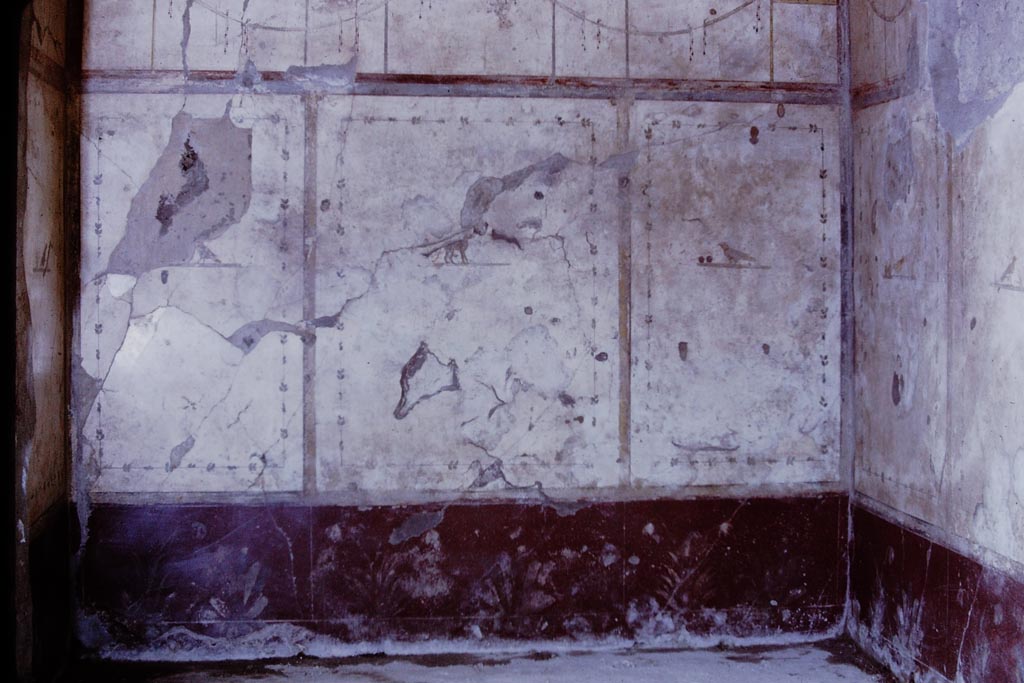 III.2.1 Pompeii. 1968. Room 5, west wall of ala. Photo by Stanley A. Jashemski.
Source: The Wilhelmina and Stanley A. Jashemski archive in the University of Maryland Library, Special Collections (See collection page) and made available under the Creative Commons Attribution-Non Commercial License v.4. See Licence and use details.
J68f0398