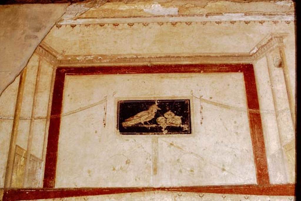 III.2.1 Pompeii. 1968. Room 9, painted panel from upper east wall of tablinum. 
Photo by Stanley A. Jashemski.
Source: The Wilhelmina and Stanley A. Jashemski archive in the University of Maryland Library, Special Collections (See collection page) and made available under the Creative Commons Attribution-Non Commercial License v.4. See Licence and use details.
J68f0392
